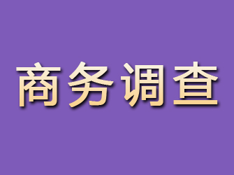 洛扎商务调查